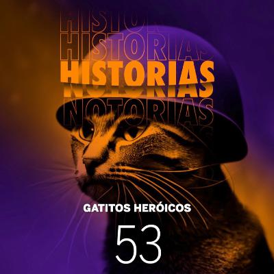 53 Felinos heróicos