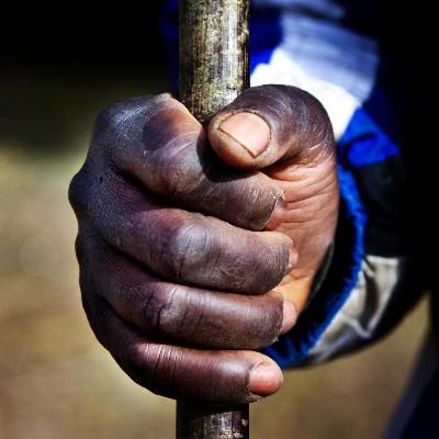 Benvinguts nouvinguts Benvinguts nouvinguts