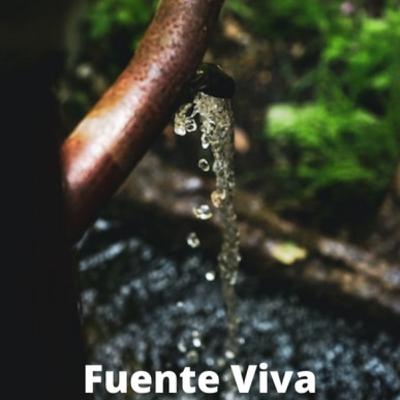 Fuente Viva (8 horas) - Sonidos de la naturaleza para relajarse y dormir.