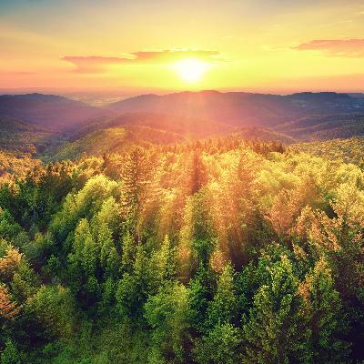 Earth Medicine ~ Deep Relaxation Music & Nature Sound Healing