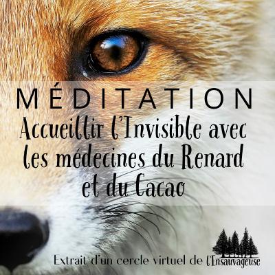 Méditation avec le Renard et le Cacao