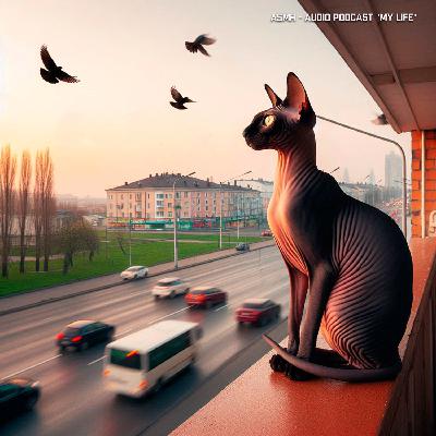 ASMR - Звук раннего города, щебетание ласточек и крики стрижей | Morning in the city, birds chirping