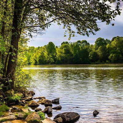 Want to find utopia? Try Columbia, Maryland
