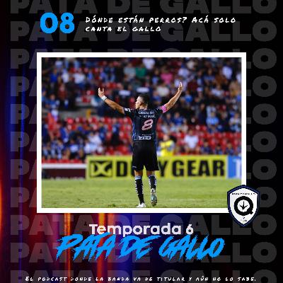 T6 Ep.8 "¿Dónde están perros? Acá solo canta el Gallo T6 Ep.8 "¿Dónde están perros? Acá solo canta el Gallo