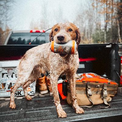 The Trained Retrieve w/ Jake Faas of True Loyalty