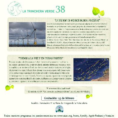 La Trinchera Verde 38 – Un Tsunami de Molinos. Todos a las Vez y en Todas Partes