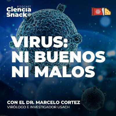 Ciencia Snack | Virus: ni buenos ni malos