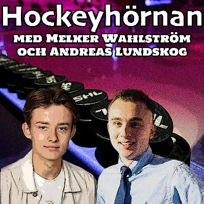 Hockeyhörnan: ”Hockeyns himmel och helvete” Hockeyhörnan: ”Hockeyns himmel och helvete”