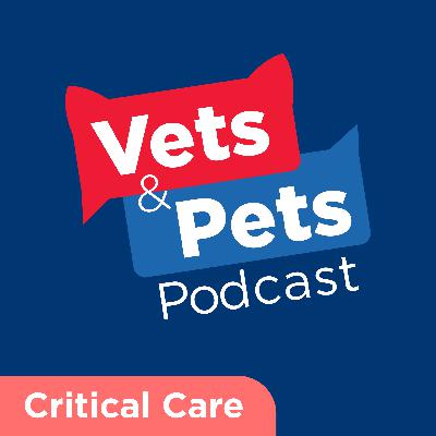 #14 Critical Care: Nutrition as one of the four pillars of recovery