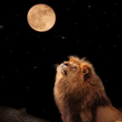 February 2022 Full Moon Meditation February 2022 Full Moon Meditation