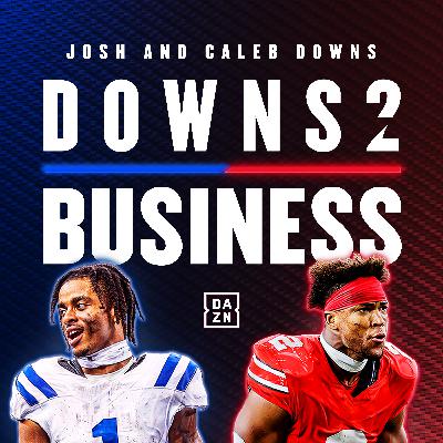 Downs 2 Business Trailer