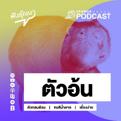 ตัวอ้น 【พันธุ์ณนา】 ตัวอ้น 【พันธุ์ณนา】