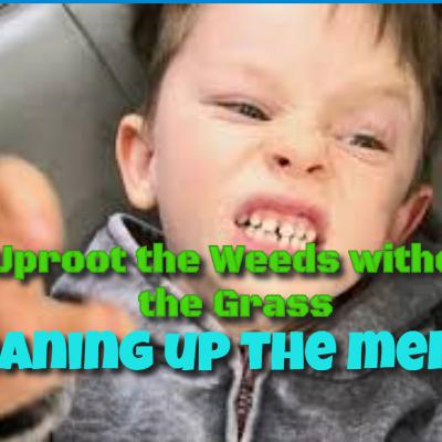 Cleaning up the mental mess/ uproot the weeds without killing the grass part 1