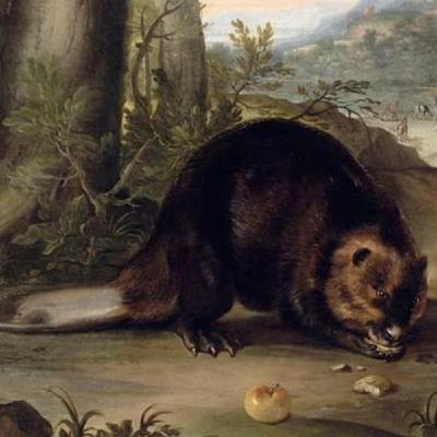 S8 Ep149: 6/8. The Great Slaughter: Audubon's Regret and the Lewis and Clark Grizzly Massacre — Dan Flores — The opening of the American West initiated an unprecedented destruction of animal populations. Flores documents that John James Audubon, while initially kil