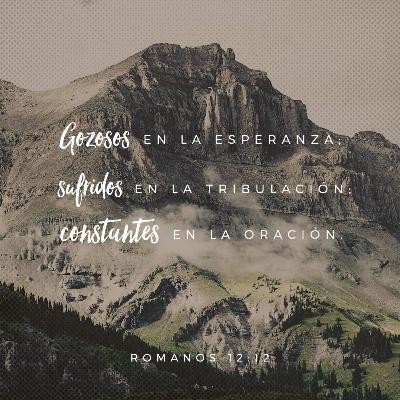 Todo esto pasó para que se cumpliese la profecía Todo esto pasó para que se cumpliese la profecía
