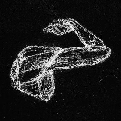 The Science and Beauty of Muscles
