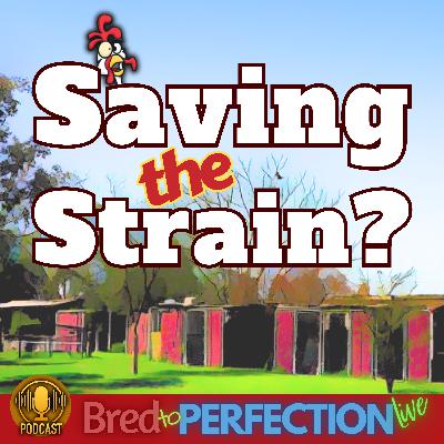 Ep279 - Starting Over: When Your Strain Isn't Worth Saving