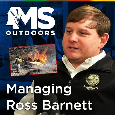 Managing One of Mississippi’s Best Fisheries: Ross Barnett Reservoir Managing One of Mississippi’s Best Fisheries: Ross Barnett Reservoir