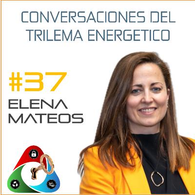 *037 - RED III y el Transporte