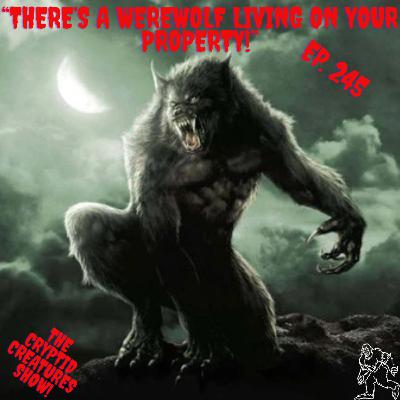 "There's a Werewolf Living on Your Property!" EP. 245