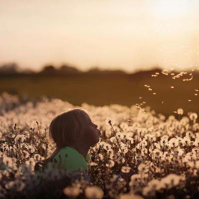 Impara a vivere nel Presente!