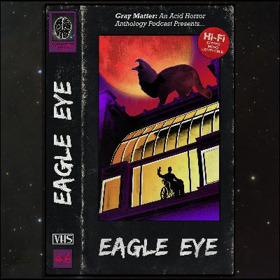 46 - Eagle Eye