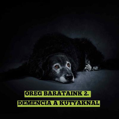 Öreg barátaink 2. - Demencia a kutyáknál