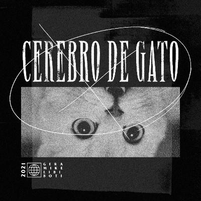 Cerebro De Gato - Episodio 11 - Me Meó Un León
