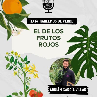 El de los frutos rojos | 3x14 | Hablemos de verde