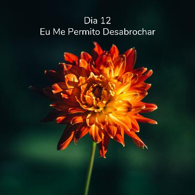 Dia 12 - Eu Me Permito Desabrochar