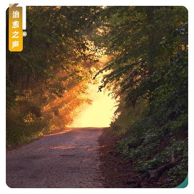 【治愈之声】白菊低喃，与你的心灵私语