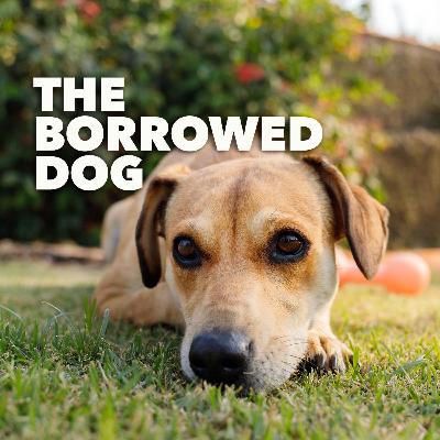 The Borrowed Dog – an Original Short Story by Don McDonald