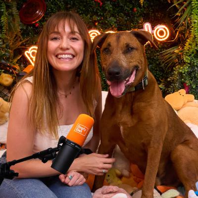 Perreando con Roenlared: dejar una relación larga, superar el estigma de ir a terapia y romper con todo a los 30
