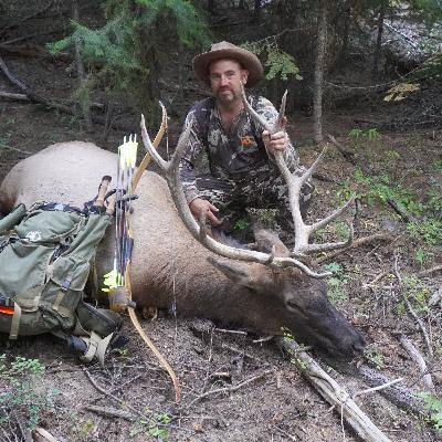 5 Tips For Killing Elk With A Traditional Bow 5 Tips For Killing Elk With A Traditional Bow