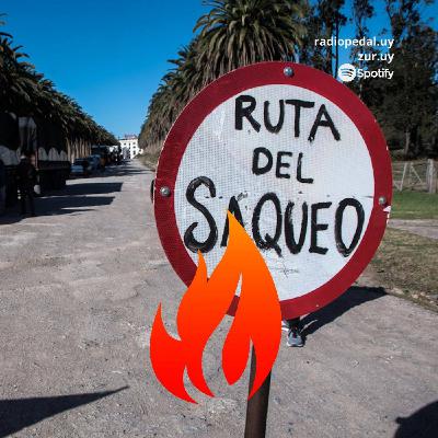 Dm #103 | Caja de resonancias: Luchas por el Agua (12-07-23)