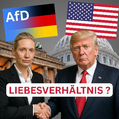 Ein Liebesverhältnis zwischen den USA und der AfD?