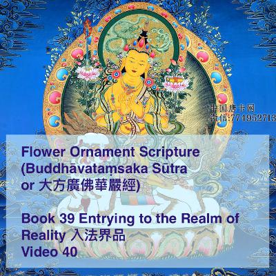Flower Ornament Sutra 華嚴經 — Book 39 Video 40