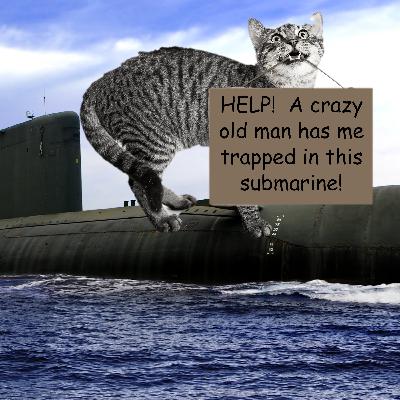 World's First Cat Submarine Captain.