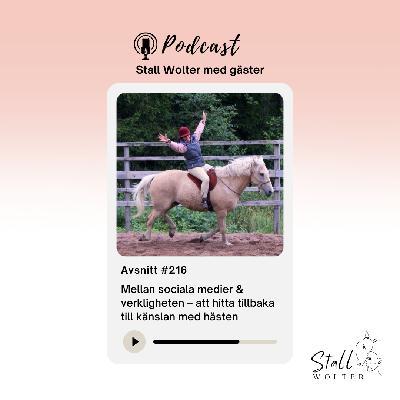 #216 – Mellan sociala medier & verkligheten – att hitta tillbaka till känslan med hästen