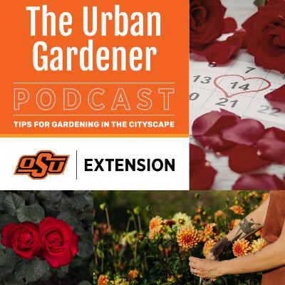 Episode 57: The Hidden Language of Flowers