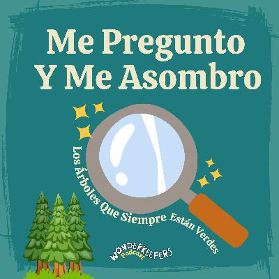 Me Pregunto y Me Asombro — Los árboles que siempre están verdes