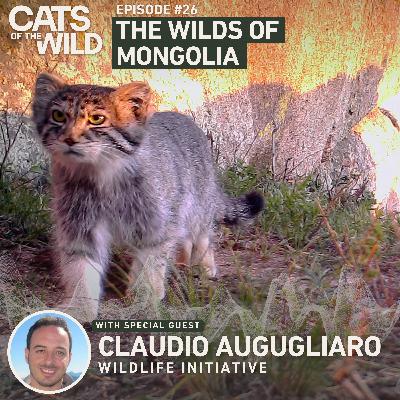 The Wilds of Mongolia: Claudio Augugliaro, Wildlife Initiative
