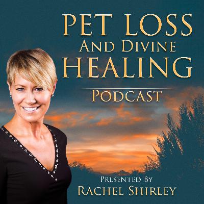 For Those Who Had to Euthanize a Beloved Pet Due to Financial Reasons