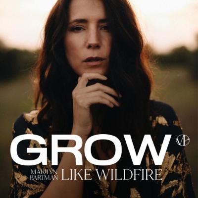 96: Dit is het nummer 1 ding wat je next level inkomen/groei tegen houdt.