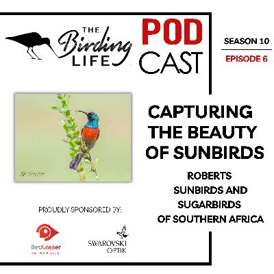 TBL Podcast - Season 10 Episode 6 - Capturing the Beauty of Sunbirds: Roberts Sunbirds and Sugarbirds of Southern Africa