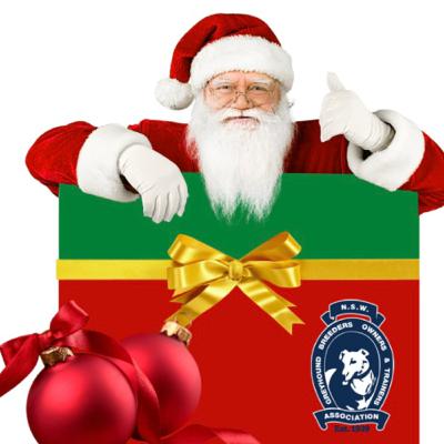 Wentworth Park Christmas Racing Calendar Details