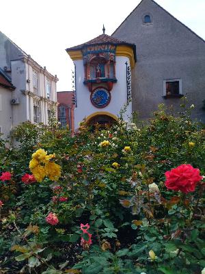 Közeledik az őszi óraállítás - a székesfehérvári Kovács Jenő Óramúzeumba látogatunk