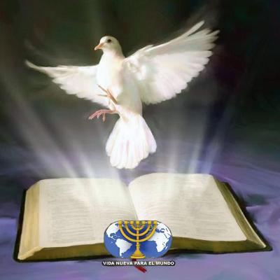 [8de12] Dr. Armando Alducin - La imagen de Dios