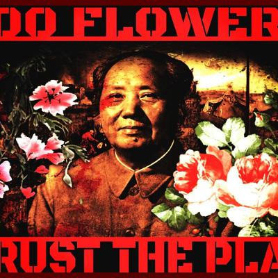 Show Sample for 01/26/26: 100 Flowers Trust the Plan Show Sample for 01/26/26: 100 Flowers Trust the Plan