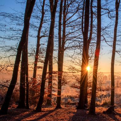 Innere Stille finden - Teil 2